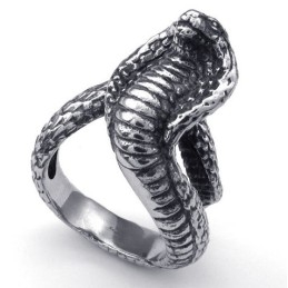Luxuriant In Design Delicate Colors Reliable Quality Titanium Ring