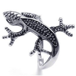Attractive Design Delicate Colors To Have A Long Story Titanium Ring