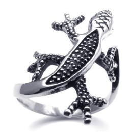Attractive Design Delicate Colors To Have A Long Story Titanium Ring