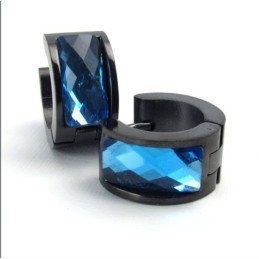 Modern Design Color Brilliancy Well-Known For Its Fine Quality Titanium Earrings