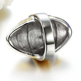 Quality And Quantity Assured Male Exaggerate Titanium Ring