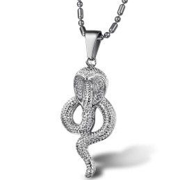 Complete In Specifications Cobral Titanium Necklace