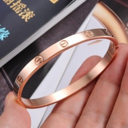 Wide Varieties Female Screw Titanium Bangle