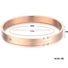 Complete In Specifications Titanium Bangle For Lovers