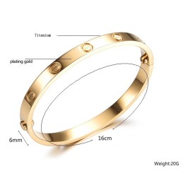 Easy To Use Female Titanium Bangle