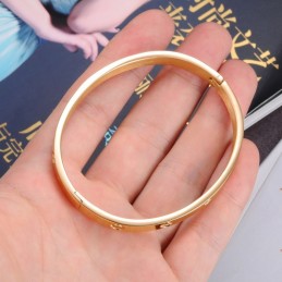 The Queen Of Quality Female Titanium Bangle