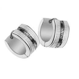 To Have A Long Story Female Wall Pattern Titanium Earrings