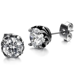Wide Varieties Unisex Titanium Earrings