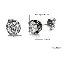 Wide Varieties Unisex Titanium Earrings