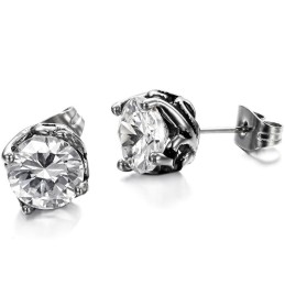 Complete In Specifications Unisex Titanium Earrings
