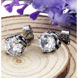 Complete In Specifications Unisex Titanium Earrings