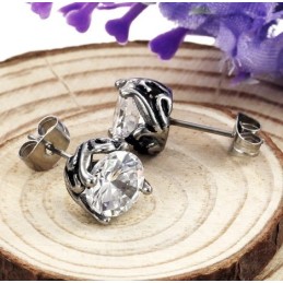 Complete In Specifications Unisex Titanium Earrings