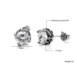 Complete In Specifications Unisex Titanium Earrings
