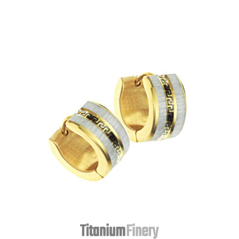 Easy To Use Female Wall Pattern Titanium Earrings