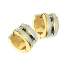 Easy To Use Female Wall Pattern Titanium Earrings