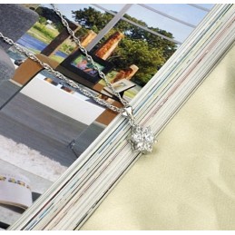 To Have A Long Story Female Platinum Plating Titanium Necklace With Rhinestone