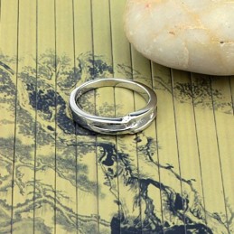 Quality And Quantity Assured Platinum Plating Titanium Ring For Lovers