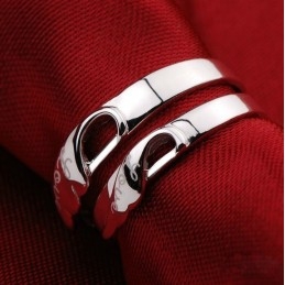 The Queen Of Quality Platinum Plating Titanium Ring For Lovers
