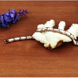 World-Wide Renown Tungsten Ceramic Bracelet