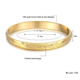 Quality And Quantity Assured Female Scrub 18K Gold-Plated Bangle
