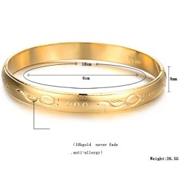 High Quality Female 18K Gold-Plated Bangle