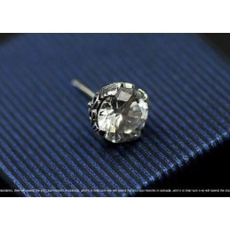 Beautiful Snow-Like Titanium Earrings