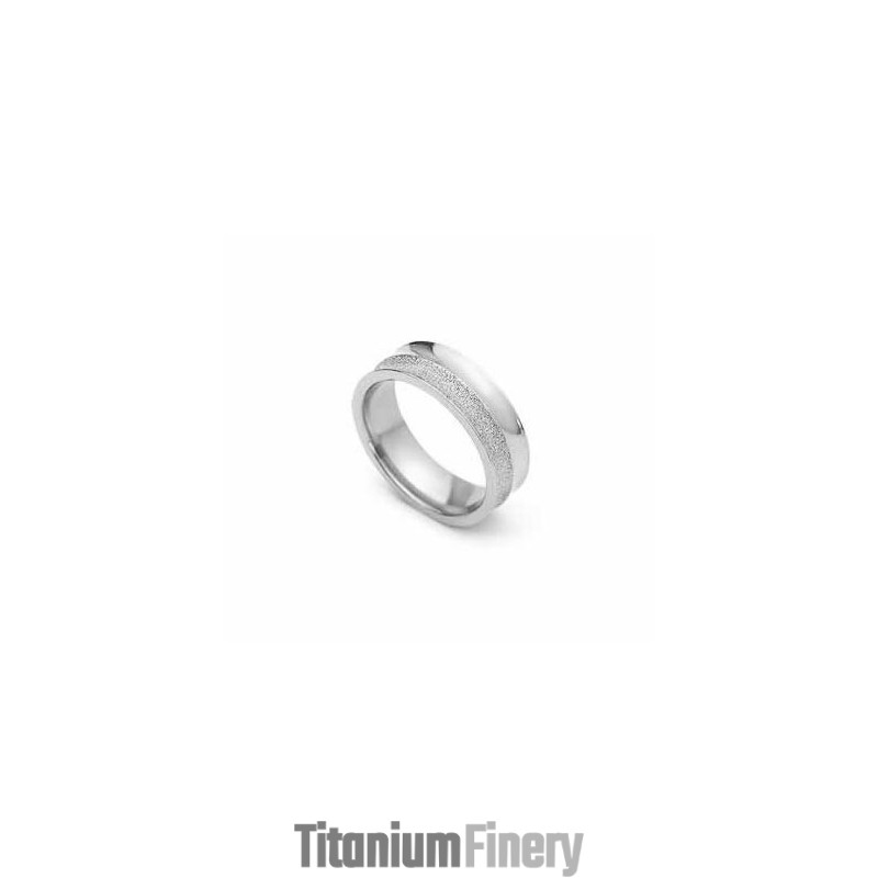 Brushed 6Mm Titanium & Silver Ring Brushed 6Mm Titanium & Silver Ring