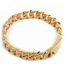Fashion Electroplated Gold Men's Titanium Bracelet