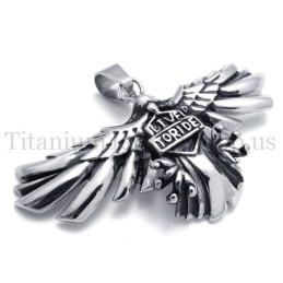 Expanding The Wings Of Eagles Titanium Pendant
