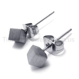 Silver Rose Titanium Earrings