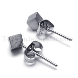 Silver Rose Titanium Earrings