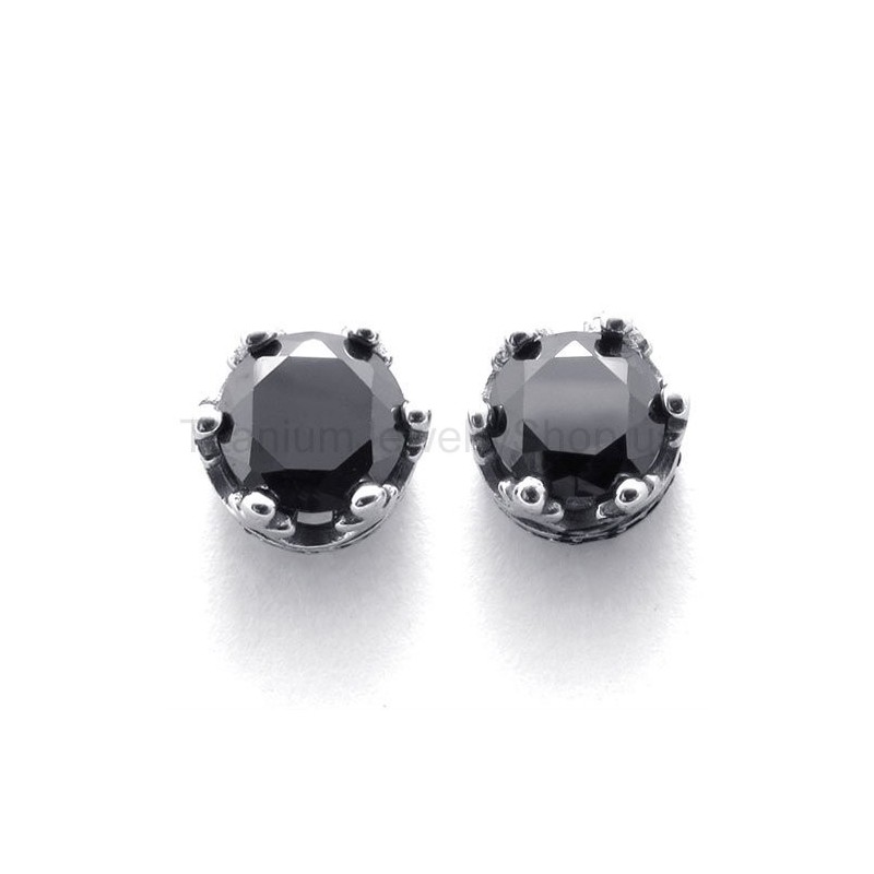 Retro Crown Titanium Earrings