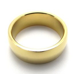 Gold Polished Titanium Ring