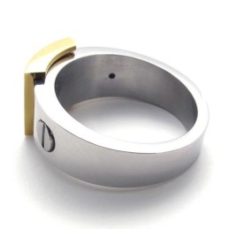 Gold Accent Titanium Ring