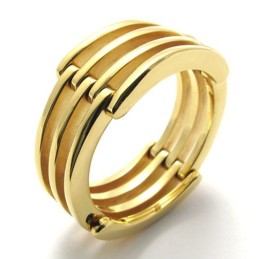 Gold Puzzle Titanium Ring