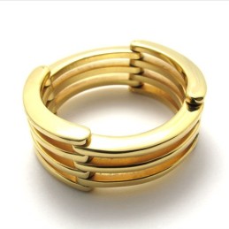 Gold Puzzle Titanium Ring