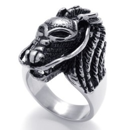 Skull Titanium Ring