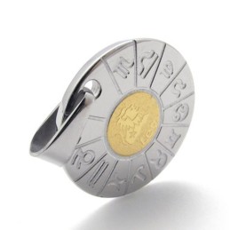 Leo Titanium Pendant