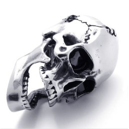 Skull Titanium Pendant
