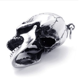 Skull Titanium Pendant