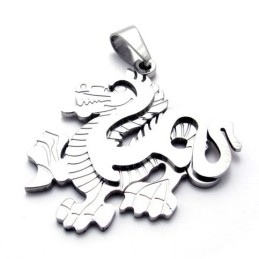 Dragon Titanium Pendant