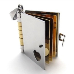 Gold Book Lovers Titanium Pendant
