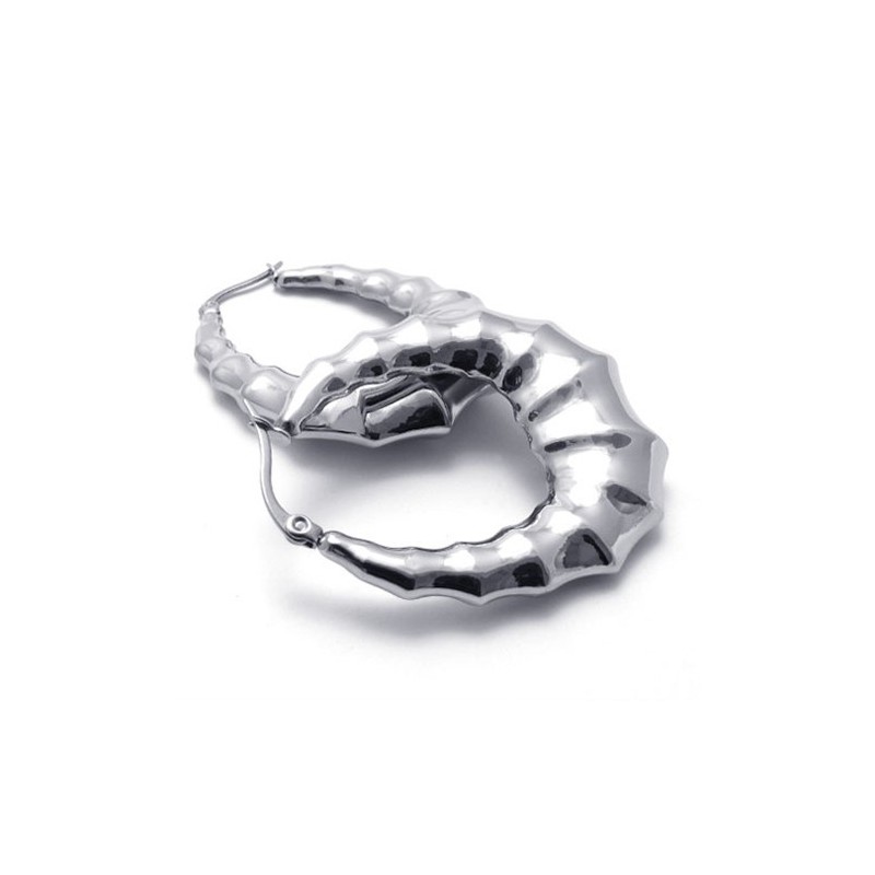 Horn Titanium Earings