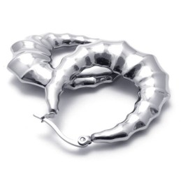 Horn Titanium Earings