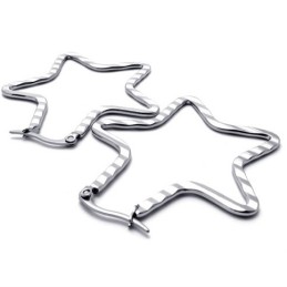 Star Titanium Earrings