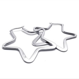 Star Titanium Earrings