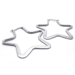 Star Titanium Earrings