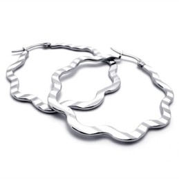 Sweet Titanium Earrings