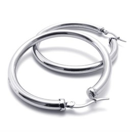 Ring Titanium Earrings
