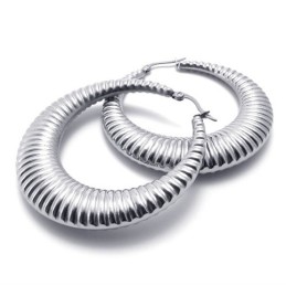 Ring Titanium Earrings